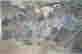 item-130462529=6