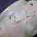item-130519795=5