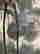 item-130519830=6