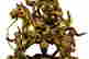 item-127771128=3