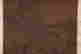 item-130909745=4