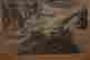 item-130909751=6