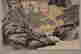 item-130909783=6
