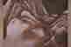 item-130909883=4