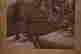item-130909883=8