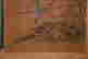 item-130909902=6