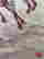 item-132972732=6