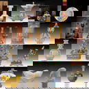 Himalayan Auction Cover