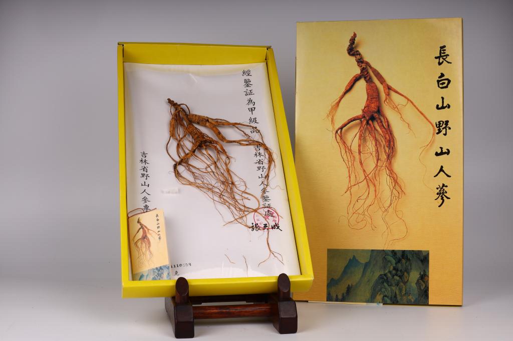 Changbai Mountain Wild Ginseng, 1980s (1 of 2)