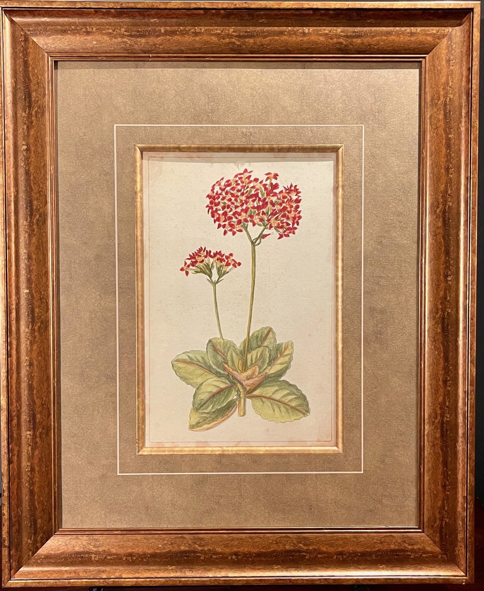 Red Floral Botanical Print #1 of 3, Custom Framed (1 of 4)