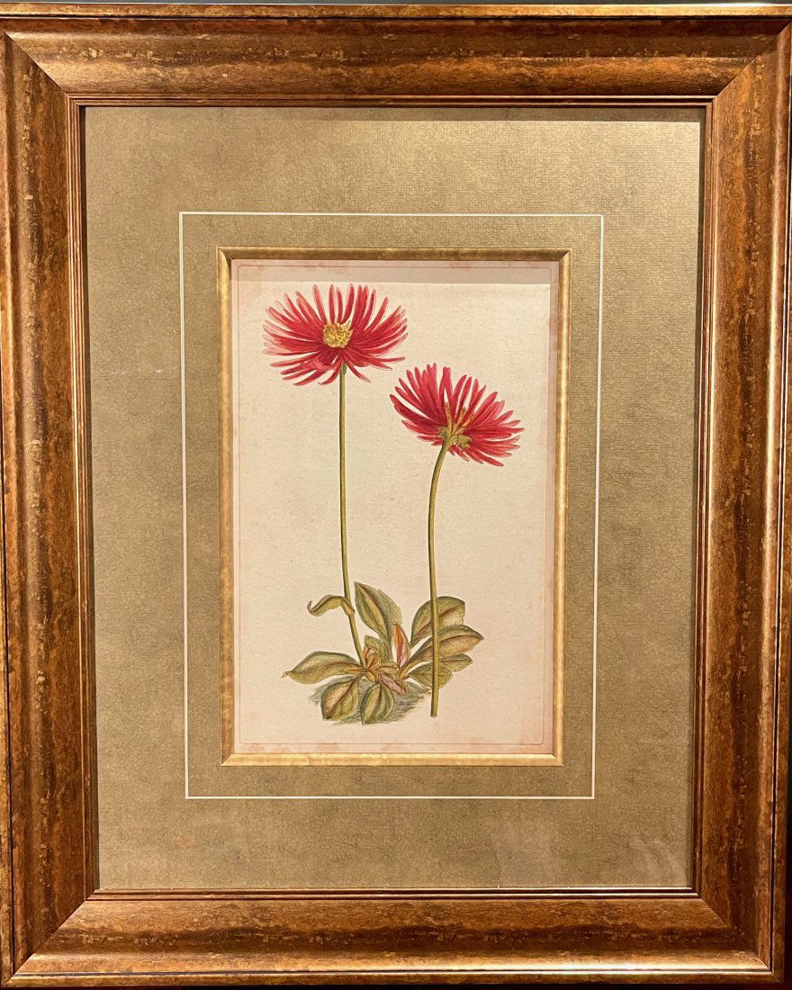 Red Floral Botanical Print #3 of 3, Custom Framed (1 of 4)
