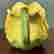 item-120088143=8
