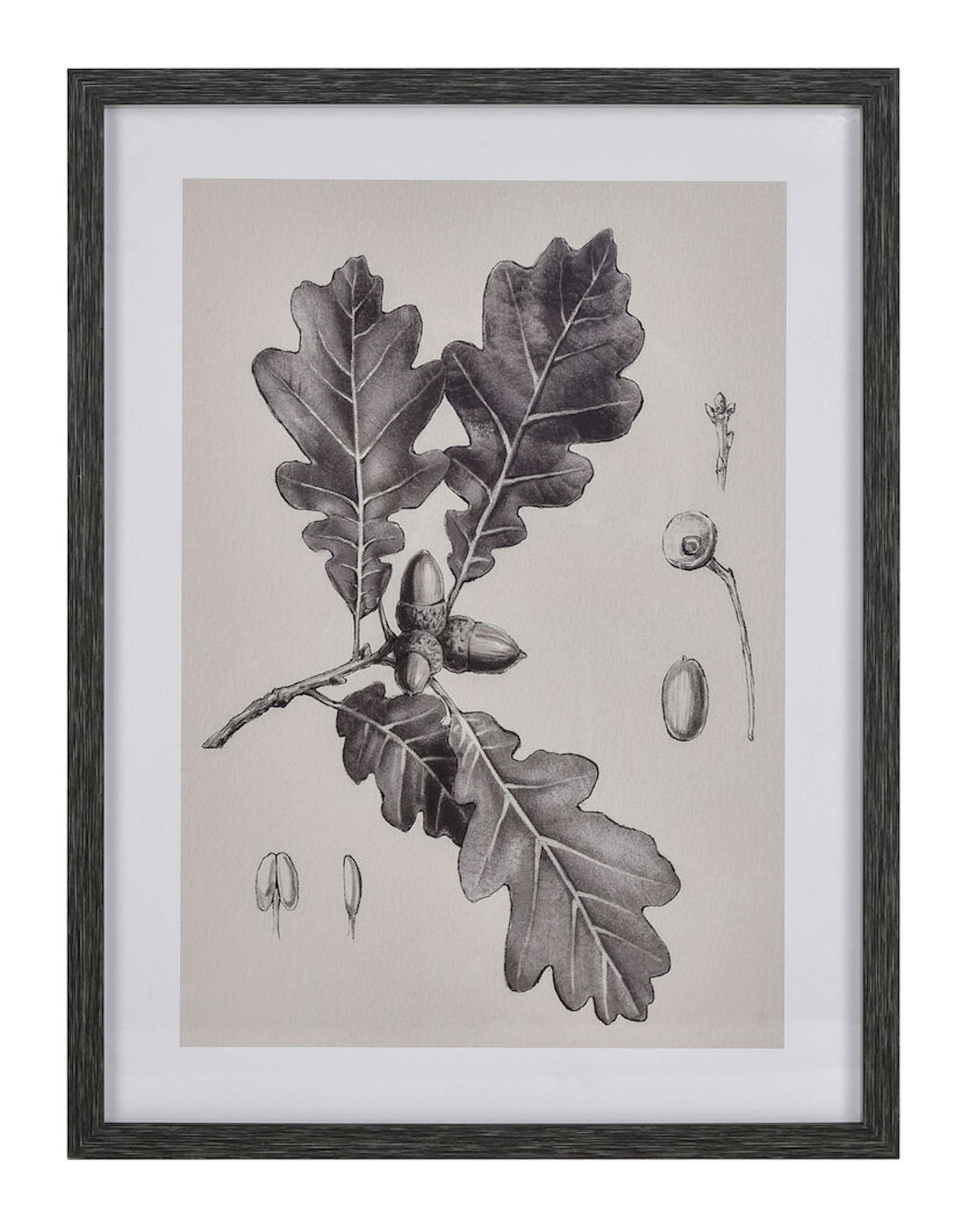 BLACK & WHITE FRAMED BOTANICAL WALL ART PRINT #1 (1 of 5)