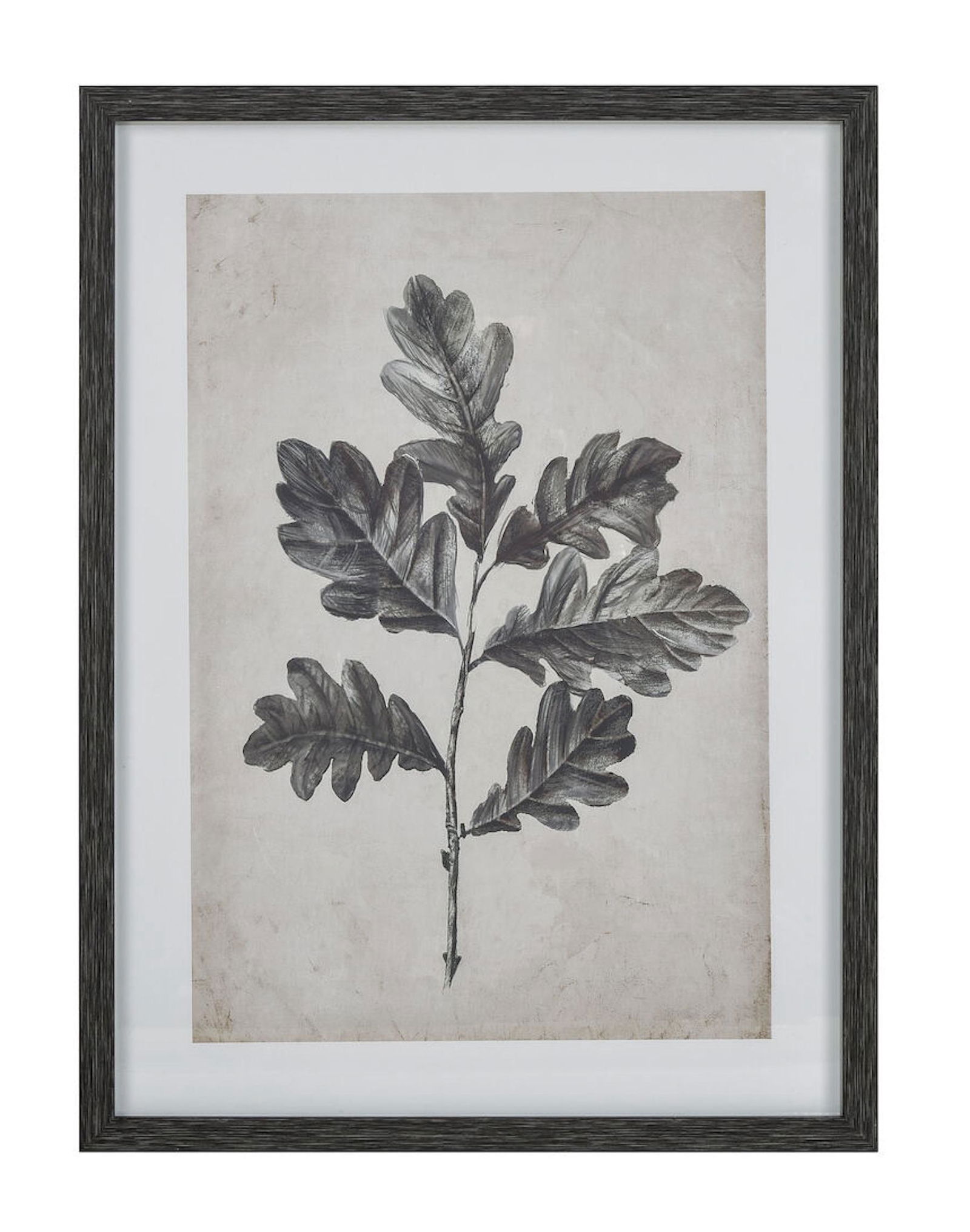 BLACK & WHITE FRAMED BOTANICAL WALL ART PRINT #2 (1 of 5)