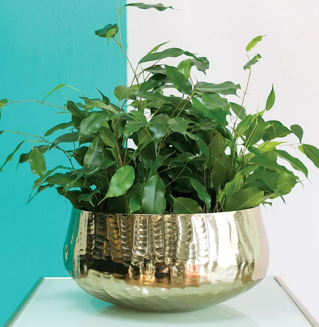 CONTEMPORARY POLISHED BRASS CACHEPOT OR CENTERPIECE BOWL (1 of 3)