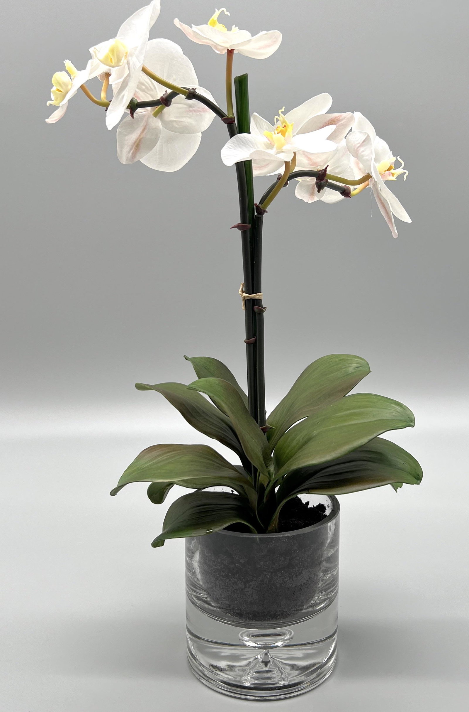 Neiman Marcus White Orchid Faux-Floral Arrangement (1 of 2)