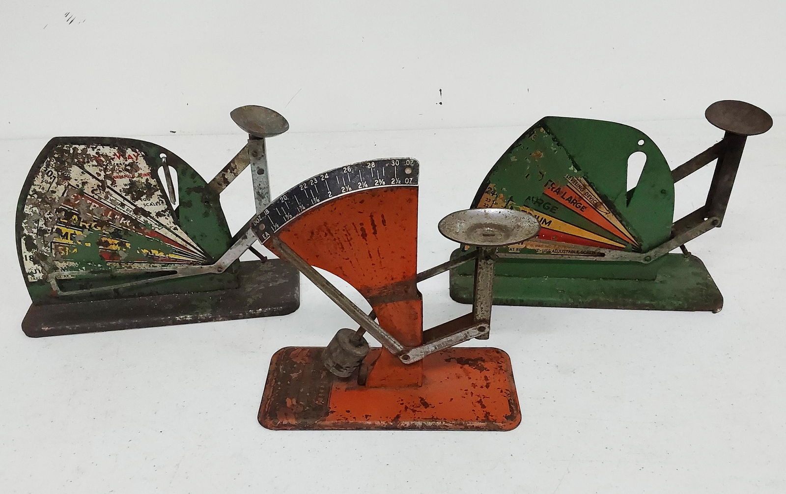 (3) egg scales (1 of 2)