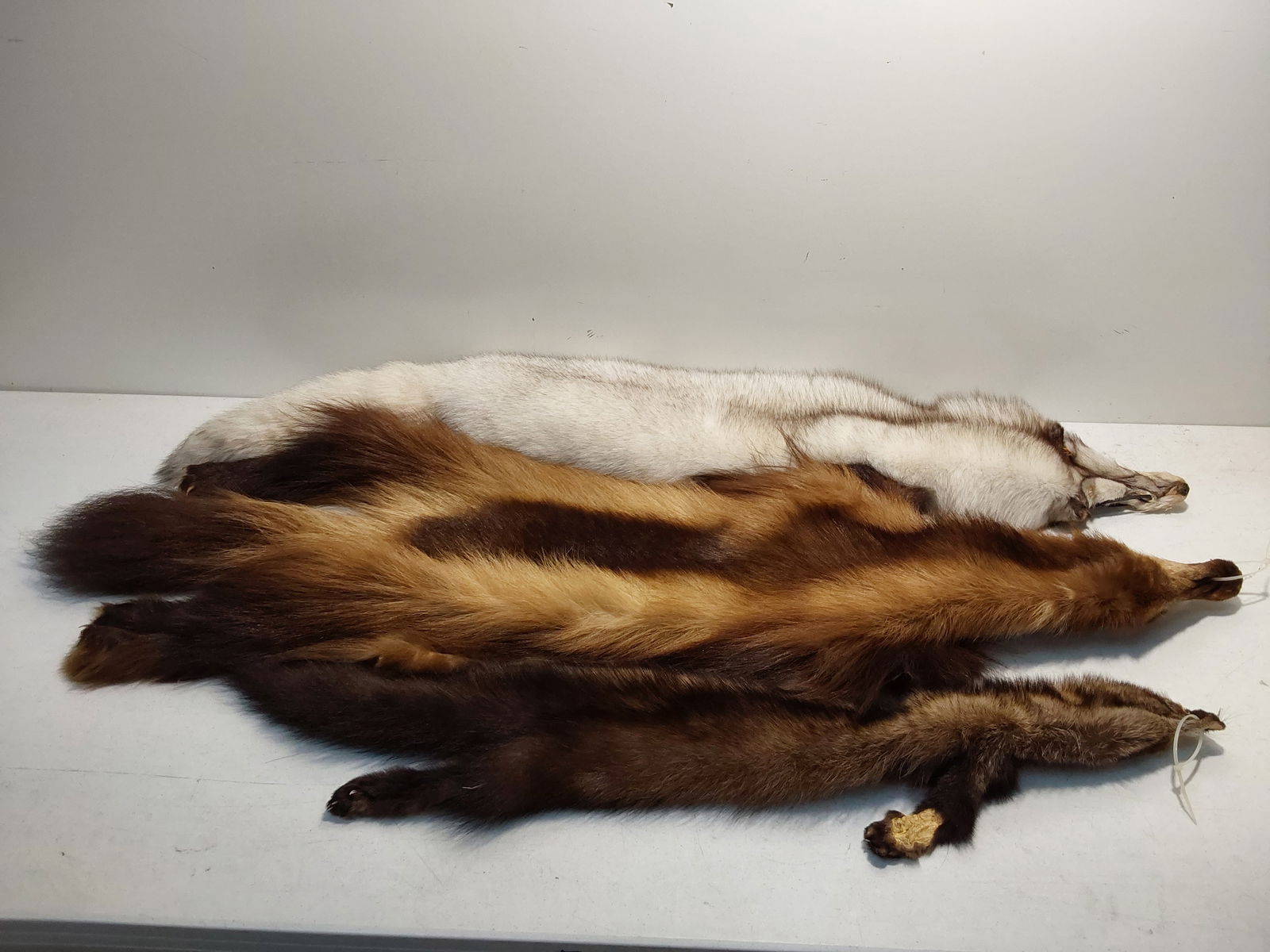 (3) furs: mink, fisher and blue fox