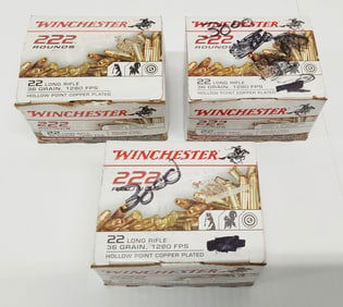 (3) boxes of .22cal ammunition