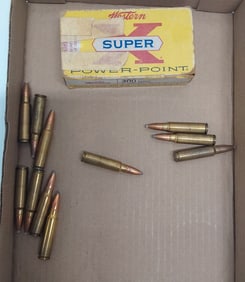 flat of 300 Savage reloads