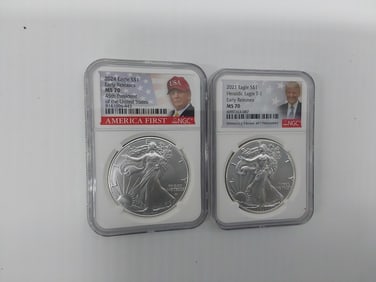 (2) MS-70 silver Eagles