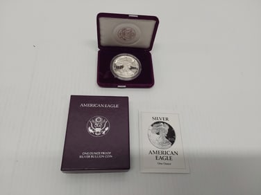 1993 1 oz silver American Eagle with case