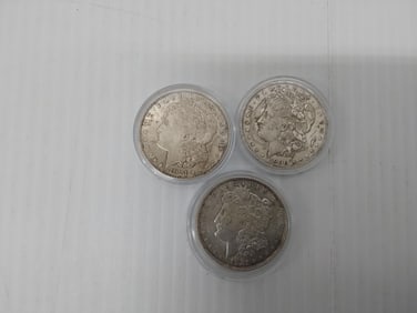 (3) Morgan silver dollars