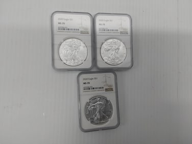 (3) 2020 MS-70 silver Eagles