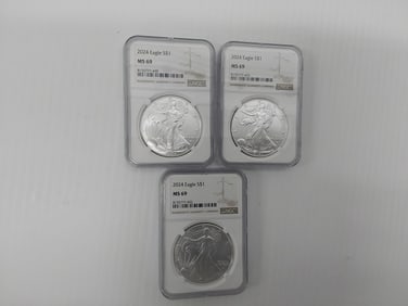 (3) 2024 MS-69 silver Eagles