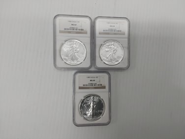(3) 1989 MS-69 silver Eagles