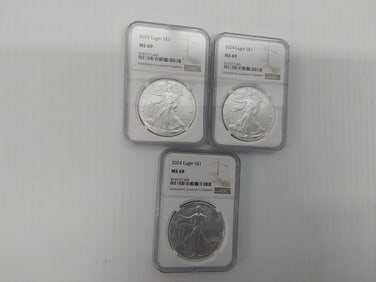 (3) 2024 MS-69 silver Eagles