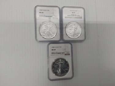 (3) 1989 MS-69 silver Eagles