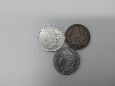 (3) Morgan silver dollars