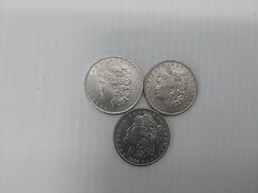 (3) Morgan silver dollars