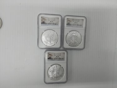 (3) 2013 MS-70 silver Eagles