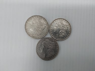 (3) Morgan silver dollars