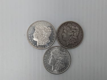 (3) Morgan silver dollars