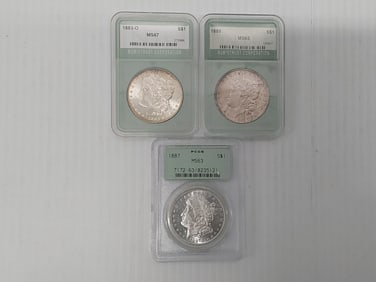 (3) graded Morgan silver dollars