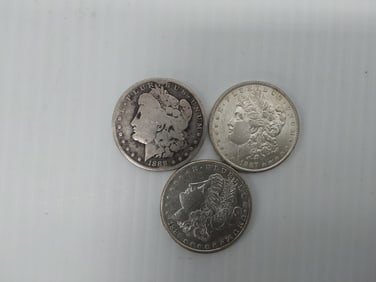 (3) Morgan silver dollars