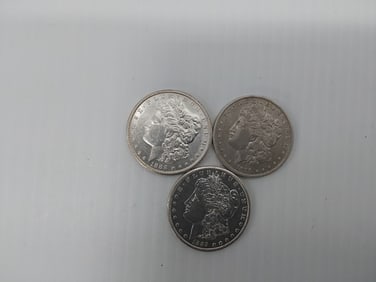 (3) Morgan silver dollars