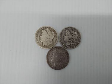 (3) Morgan silver dollars