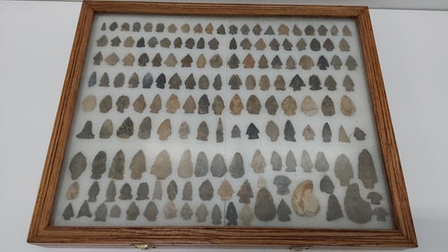 arrowhead or point collection in case