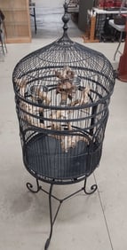 wrought iron bird cage with three legs