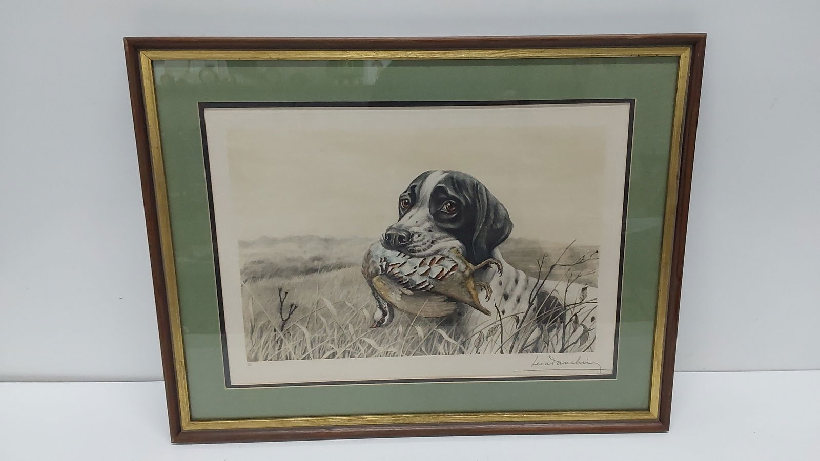 Dog with Partridge colored etching by Leon Danchin: Hand finished in watercolor. 20 1/2" x 26 1/2"
