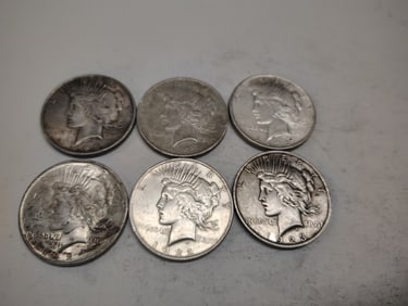 (6) Peace dollars