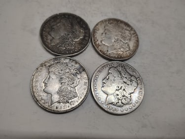 (4) Morgans