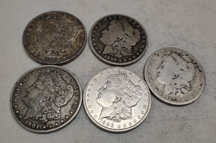 (5) Morgans