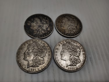 (4) morgans