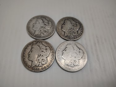 (4) morgans