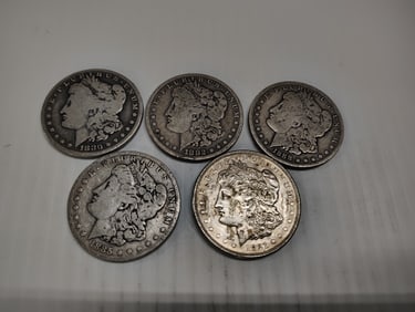 (5) morgans